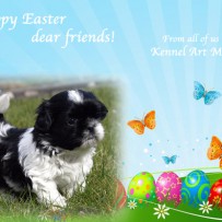 Happy Easter!