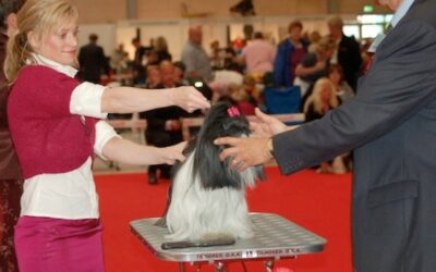 World Dog Show 2010