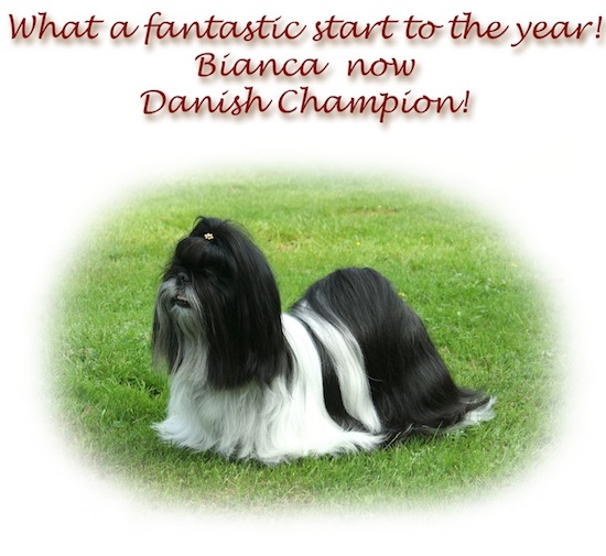Bianca Danish champion