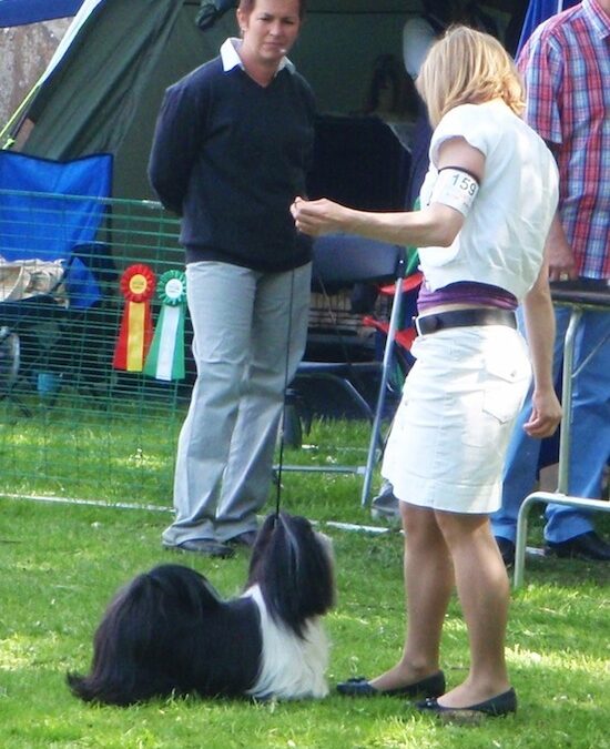 Kajsa – Fossella Icing On The Cake