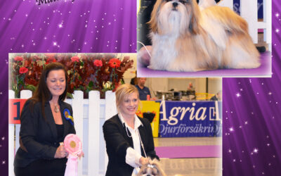 Norma wins BEST IN SHOW -3