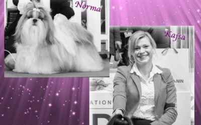 Crufts 2014