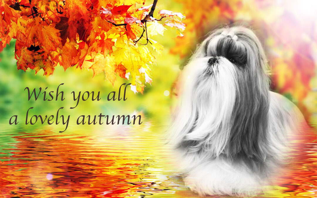 Autumn greetings!